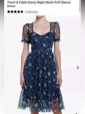 Thorn & Fable Starry Night Mesh Dress | Puff Sleeve | Van Gogh | Hot Topic